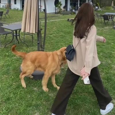 巴比伦柏林第一季